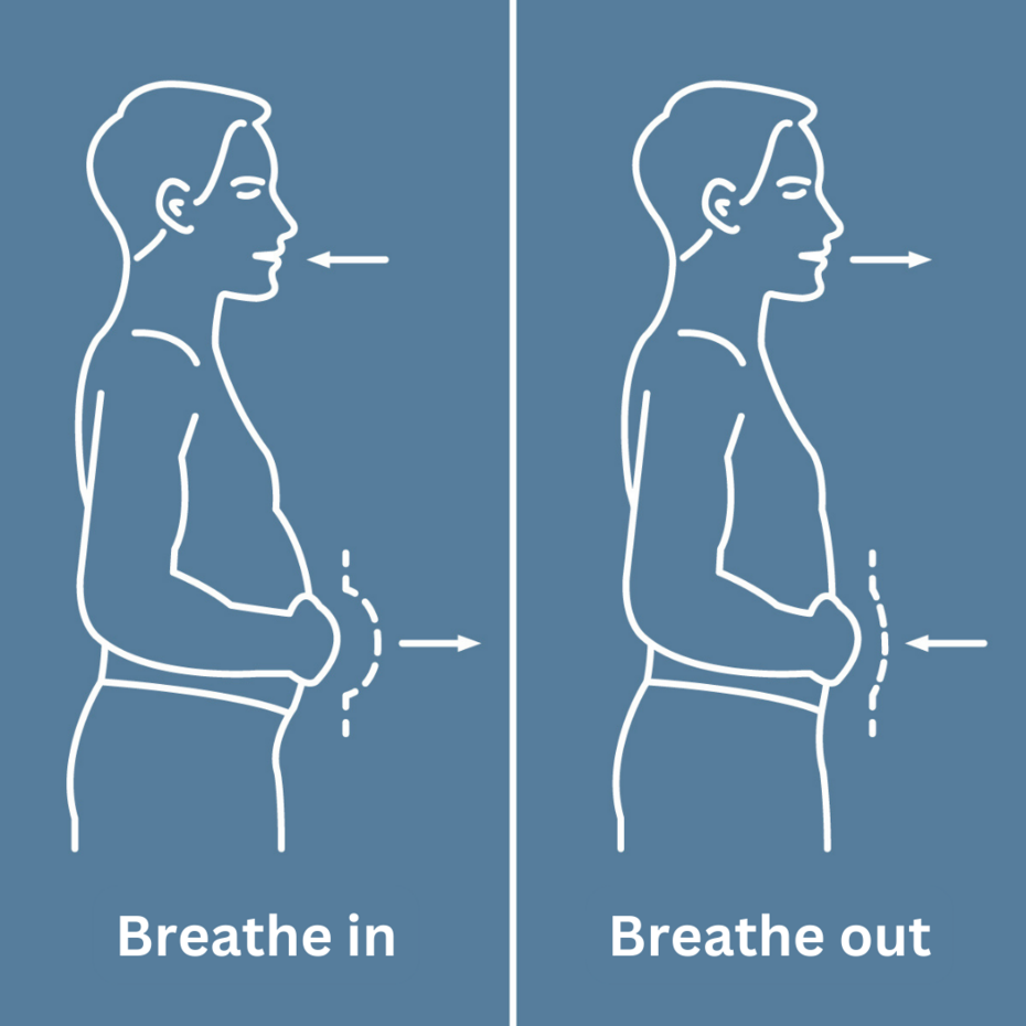 Figure: Movement of the abdomen during diaphragmatic breathing