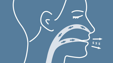 Grafische Darstellung eines Kopfes in Seitenansicht mit Darstellung des Wegs der Atemluft