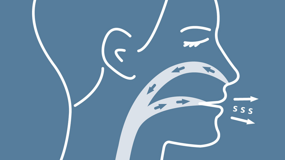 Grafische Darstellung eines Kopfes in Seitenansicht mit Darstellung des Wegs der Atemluft