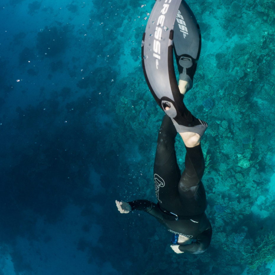 Taucher taucht zu einem Korallenriff hinunter, im Vordergrund sind die Flossen zu sehen