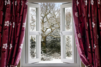 Open window with a view of the wintry garden