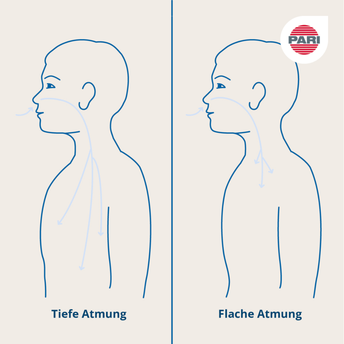 Grafische Gegenüberstellung von tiefer und flacher Atmung, zwei Silhouetten von der Seite, bei der linken gehen Pfeile durch die Nase bis tief in den Bauch, bei der rechten reichen die Pfeile nur bis in den Brustkorb