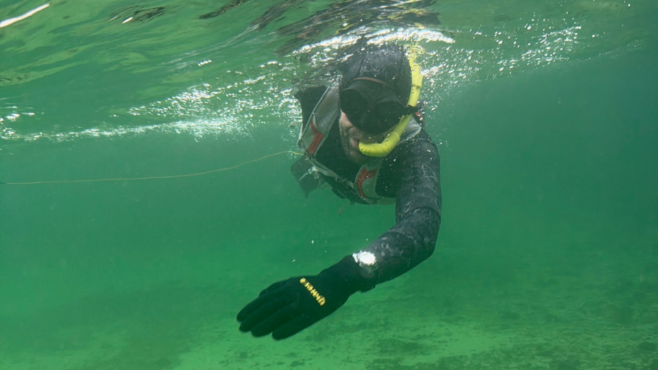 Taucher schwimmt an der Wasseroberfläche im seichten Wasser