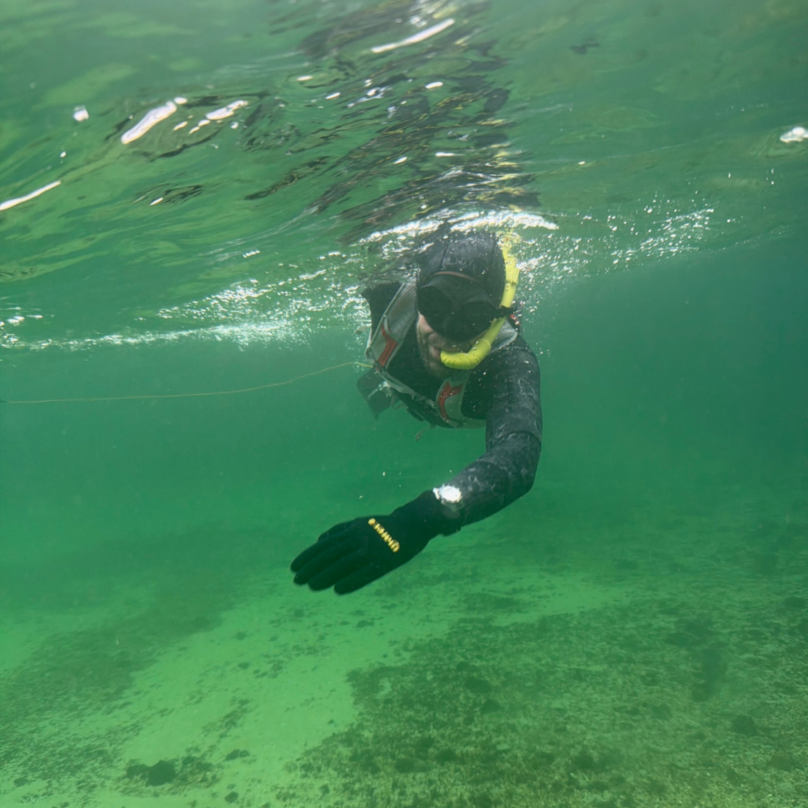 Taucher schwimmt an der Wasseroberfläche im seichten Wasser