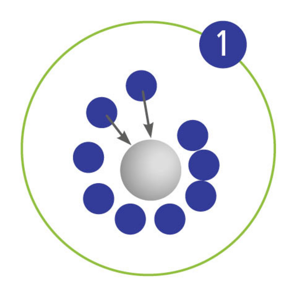 Infografik: Ectoin besitzt stark wasserbindende Eigenschaften.