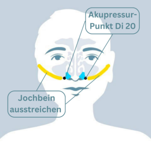 Grafik eines menschlichen Kopfes mit gekennzeichneten oberen Atemwegen, Akupressur-Punkt Di 20 und Jochbein ausstreichen