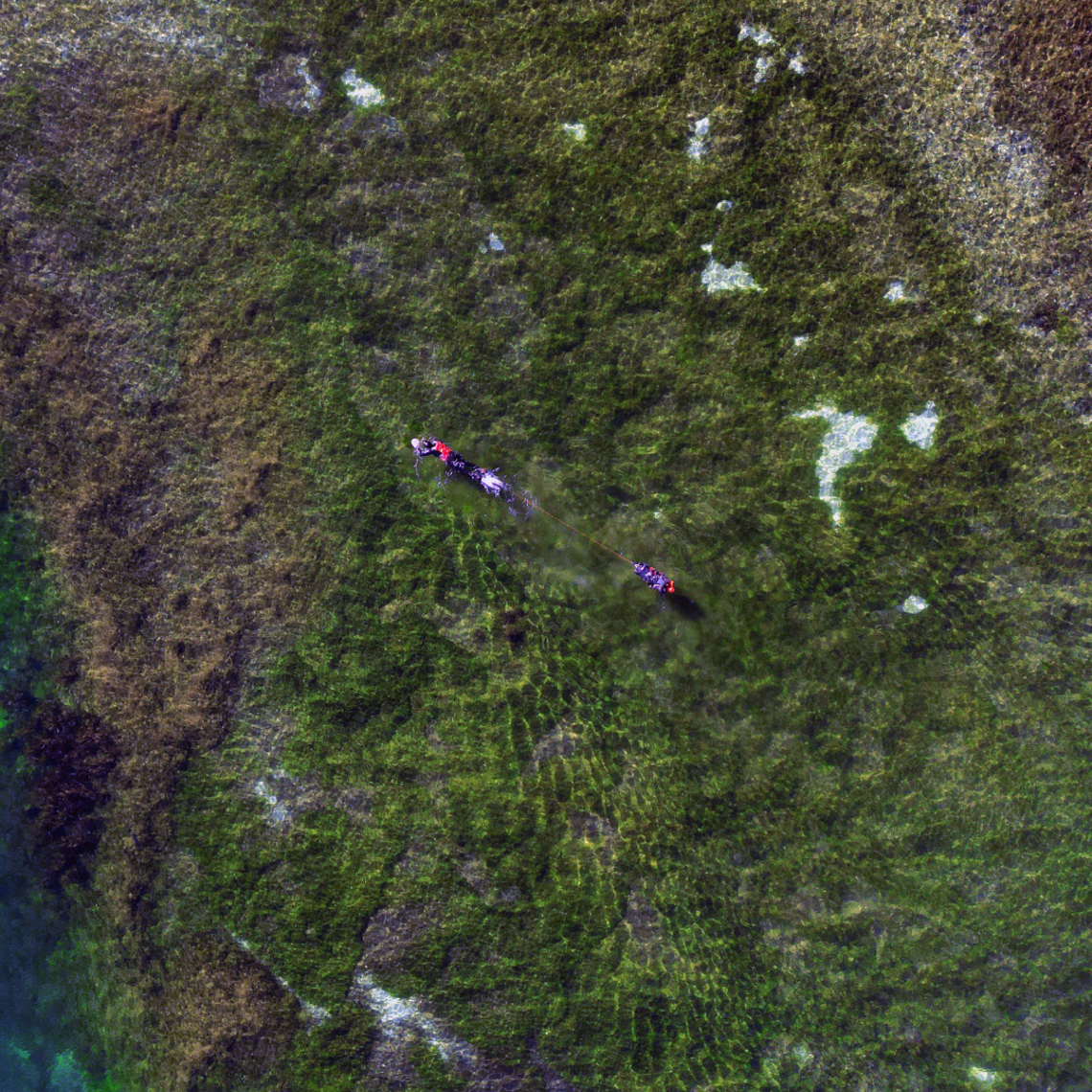 Schwimmer aus der Vogelperspektive, er zieht einen Rucksack hinter sich her