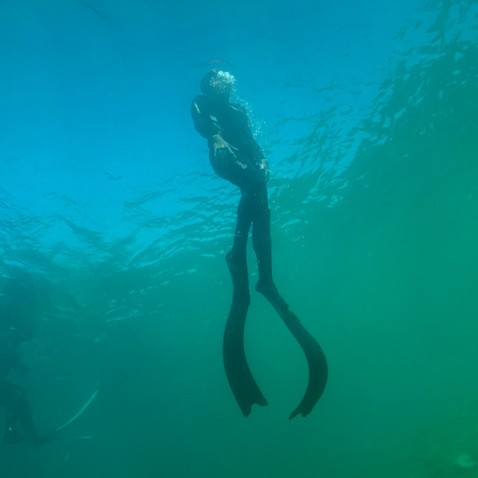 Taucher taucht nach oben zur Wasseroberfläche