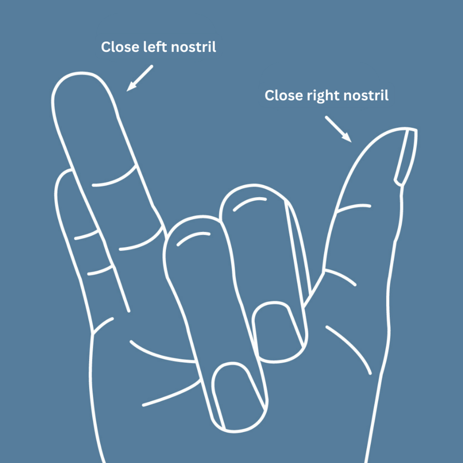 Graphic representation of the hand position for the alternate breathing technique