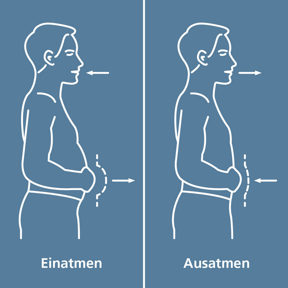 Grafik: Bewegung des Bauchs bei Bauchatmung