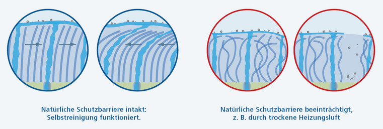 Natürliche Schutzbarriere