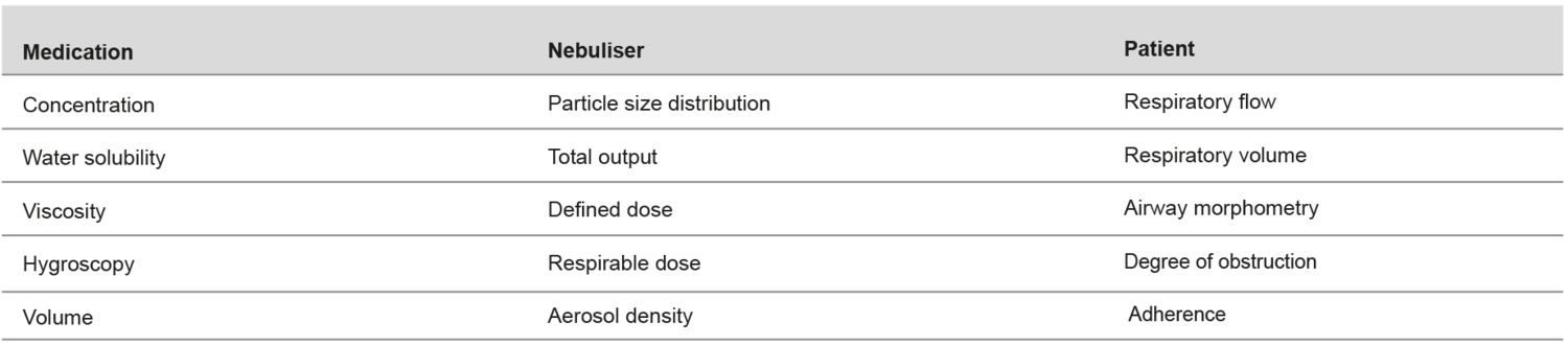 Factors that affect the efficiency of the nebuliser therapy