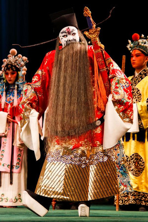 Peking Opera teenager Ding Hu on stage