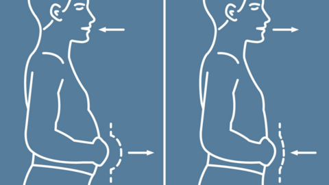 Figure: Movement of the abdomen during abdominal breathing