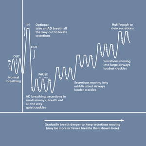 Graphical representation of autogenic drainage