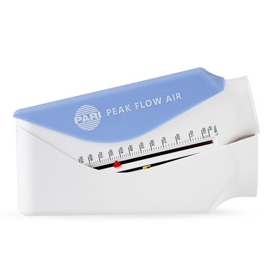 PARI image Item No.: 31G1000