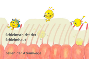 Grafische Darstellung von Zellen der Atemwege, Schleimhaut darüber und Viren, die versuchen, durch Schleimhaut in die Zellen zu gelangen