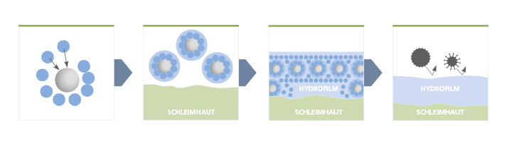 Was ist Ectoin und wie wirkt es?