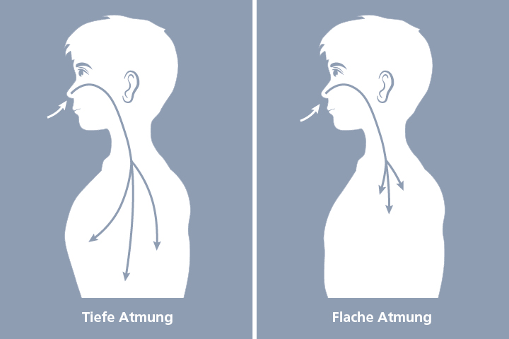 Grafische Gegenüberstellung von tiefer und flacher Atmung, zwei Silhouetten von der Seite, bei der linken gehen Pfeile durch die Nase bis tief in den Bauch, bei der rechten reichen die Pfeile nur bis in den Brustkorb