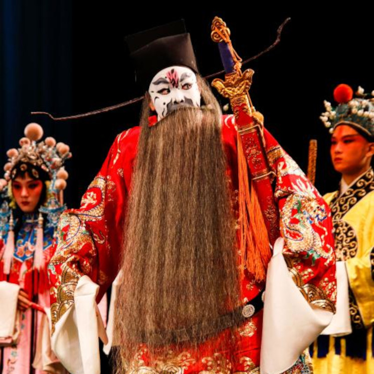 Peking Opera teenager Ding Hu on stage