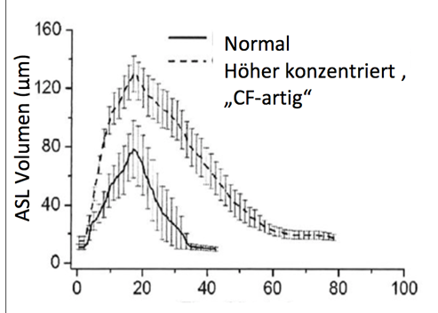 Neue Erkenntnisse zur Wirkung von hypertoner Salzlösung am Modell der menschlichen Lungenzellen (Human Bronchial Epithelium, HBE)