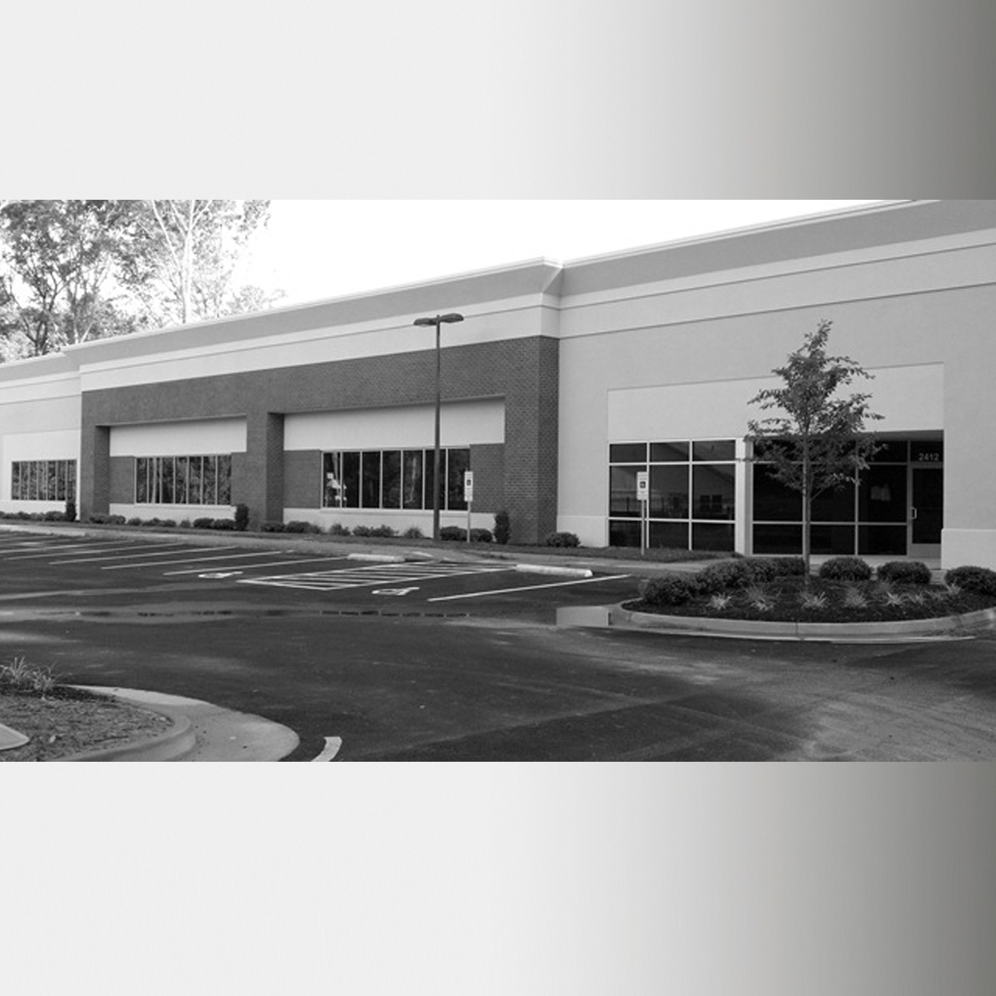 Gründung von Niederlassungen in den USA, Frankreich und Großbritannien