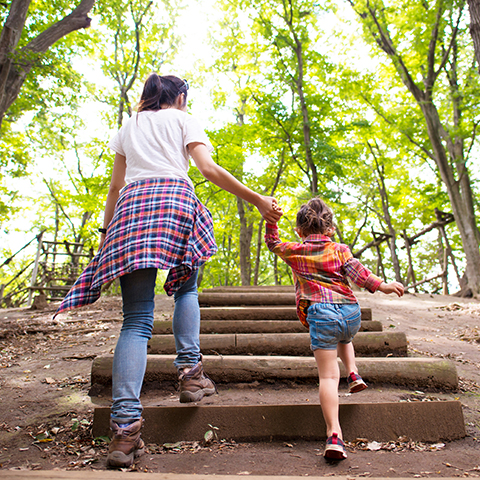 Promenade en forêt