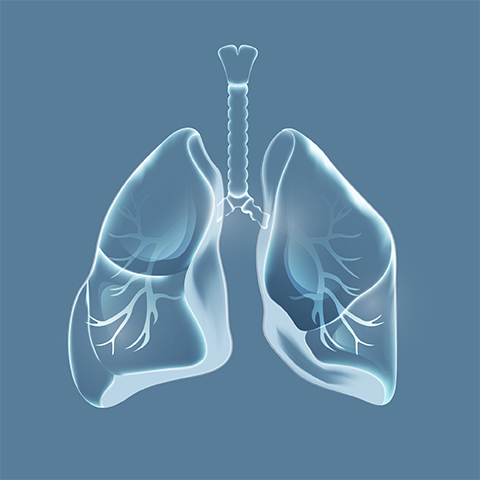 Les poumons et la mucoviscidose