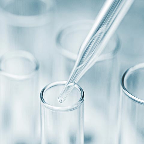 PARI provides customised analytical solutions based on the projects´ requirements and methodologies according to industry guidelines, pharmacopoeias (e.g. Ph. Eur., USP, BP, JP) and customer specifications.