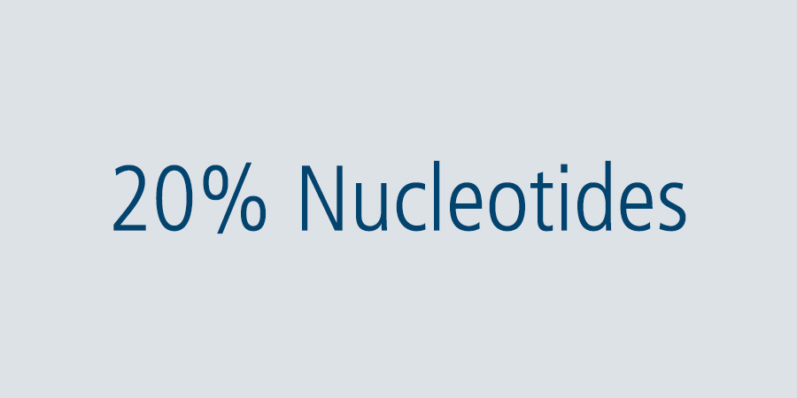 20% Nucleotides 20% Nucleotides